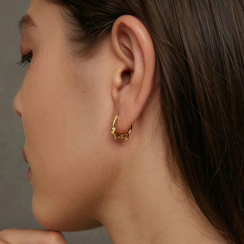 The Playful Ears Hoops